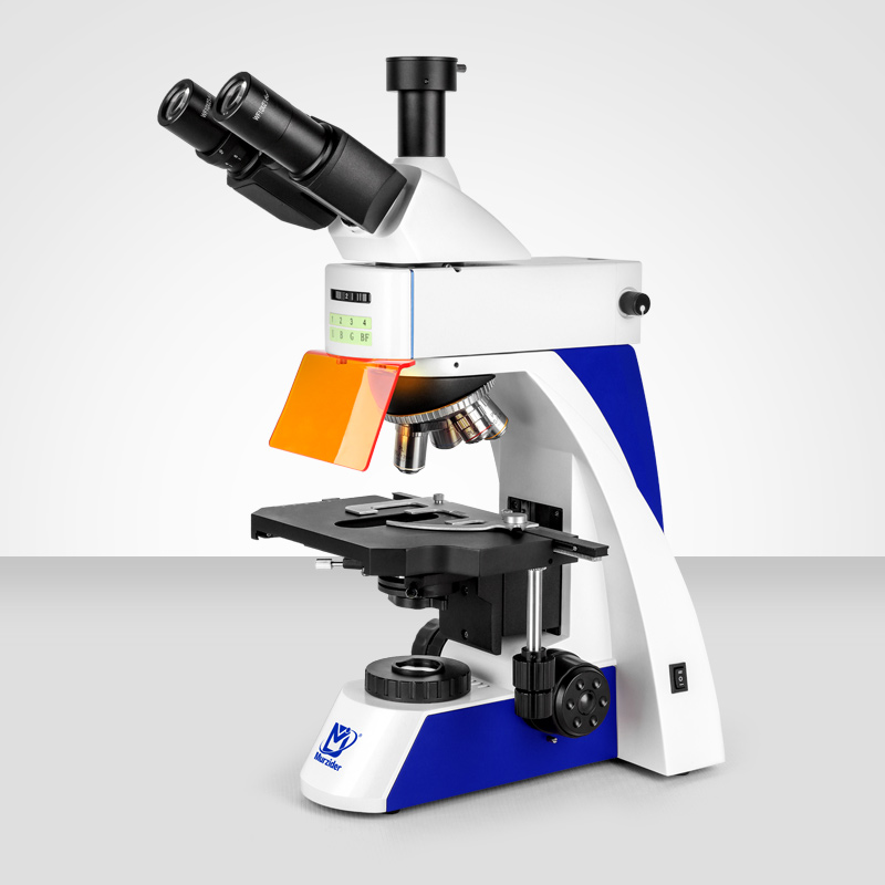 MSD-S820高強(qiáng)度熒光顯微鏡